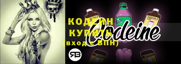 ГАЛЛЮЦИНОГЕННЫЕ ГРИБЫ Балабаново