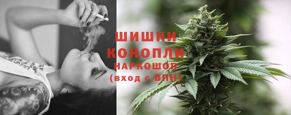 ПСИЛОЦИБИНОВЫЕ ГРИБЫ Сосновый Бор